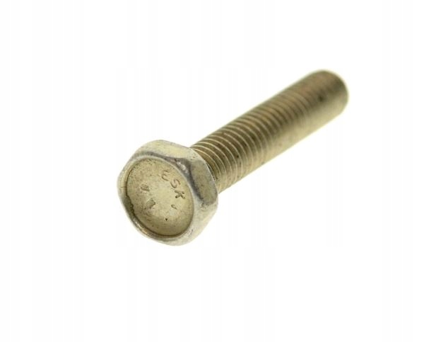 Śruba oryginał Eska Niemcy M6x30 8.8 Mz Etz 150 250 Ts Simson S51 Enduro