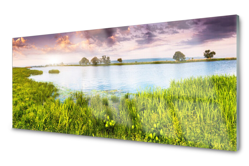 

Panel szklany do kuchni Trawa Jezioro 125x50
