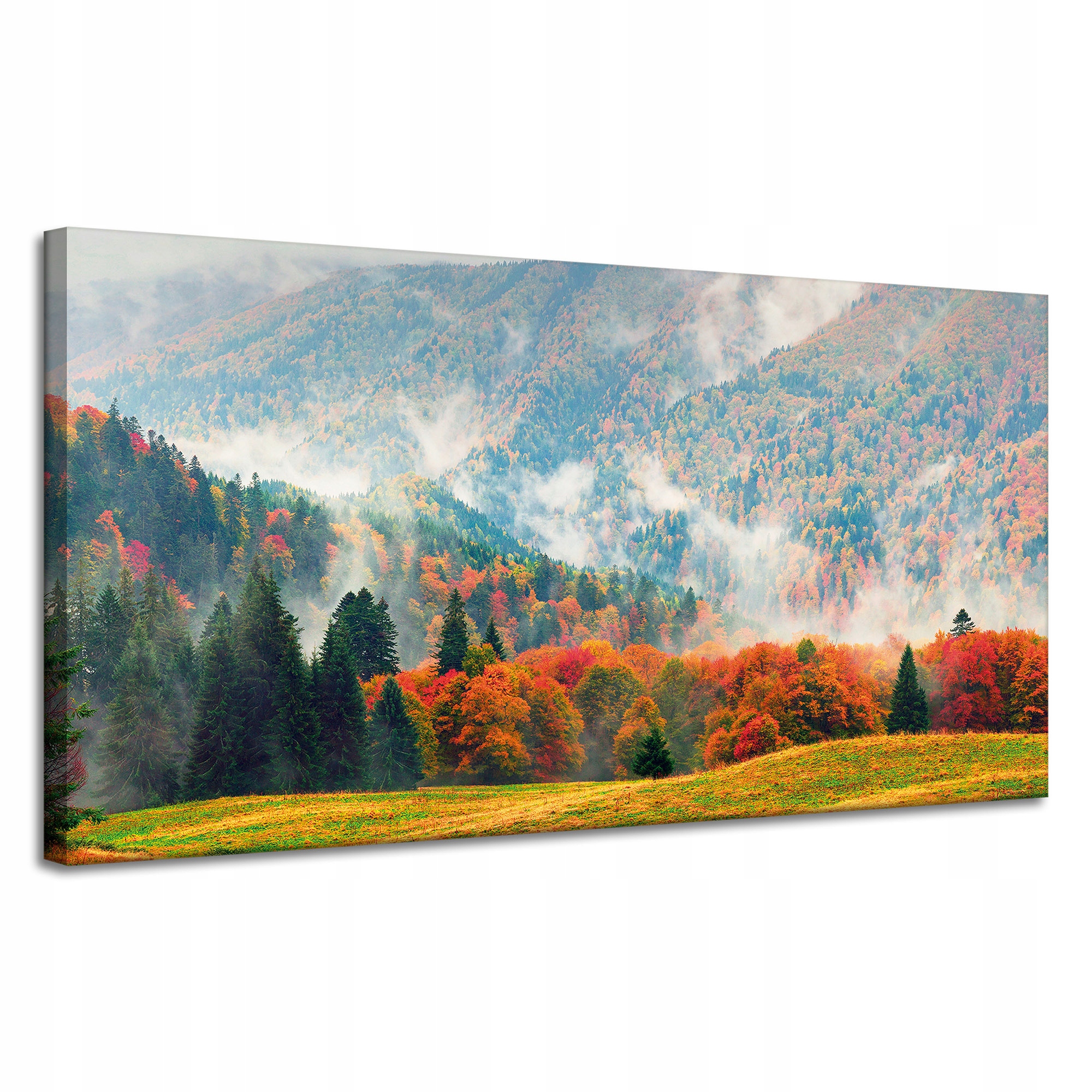 Obraz na plátně Hory Lesy Louky Mraky Příroda 120x60 cm