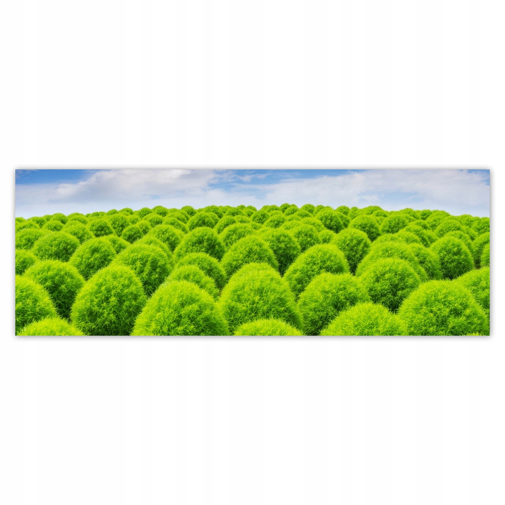 

Fototapety flizelina 624x219 Zielone spojrzenie