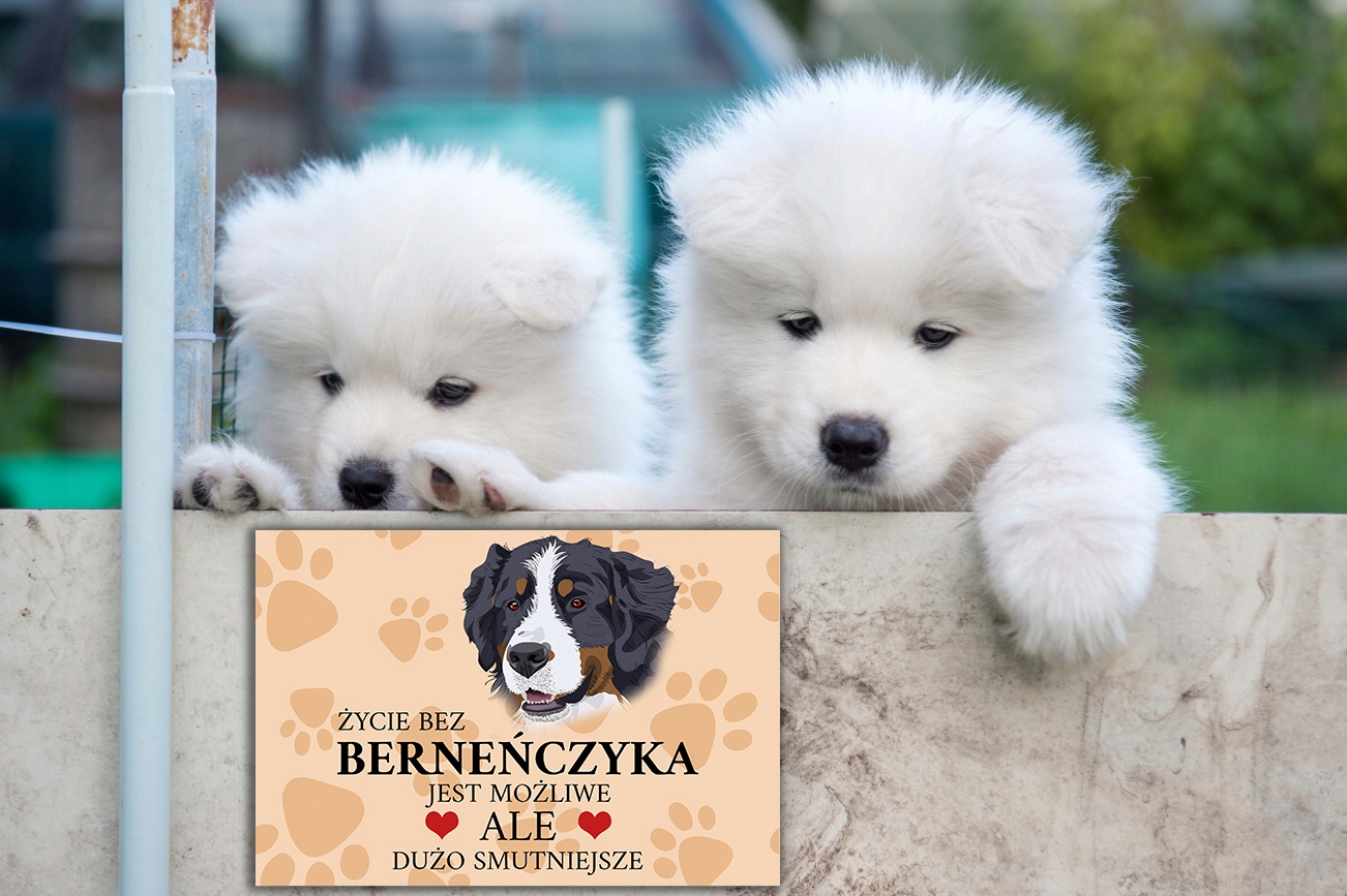 TABLICZKA PCV JASNO BRĄZOWY ŻYCIE BEZ WESTIE JEST MOŻLIWE ALE SMUTNE WZ Stan opakowania oryginalne