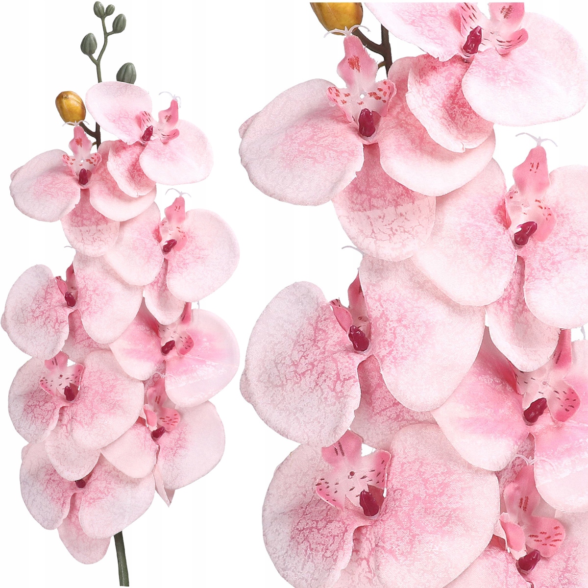 

Storczyk Orchidea Gałązka Jakość Jak Żywy 90cm