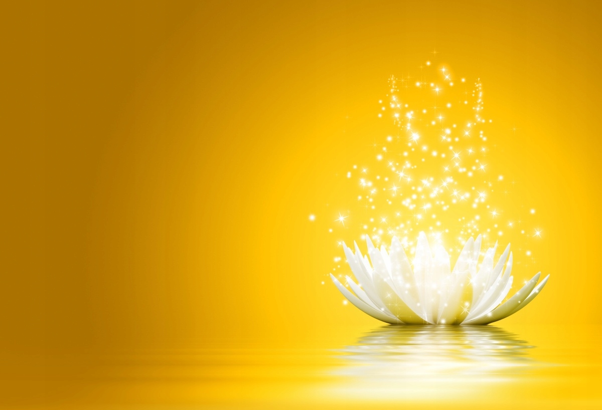 

Tapeta flizelinowa Kwiat lotosu - 104x70