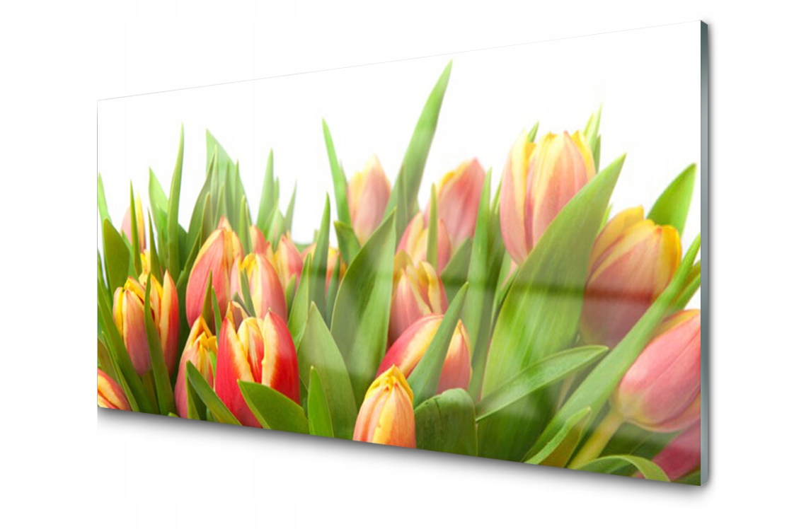 Sklenený panel Doska Tulipány Kvety 120x60