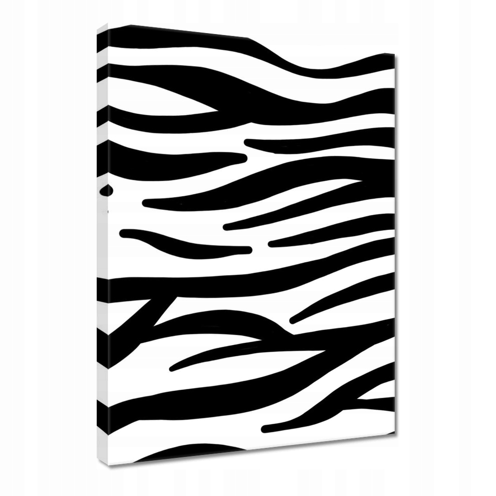

Obraz 50x70 Zebra Paski