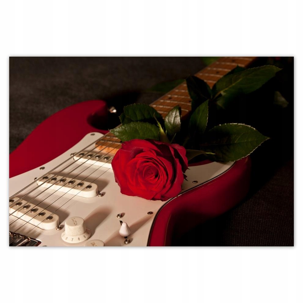 

Plakaty 60x40 Czerwone wiosło Gitara