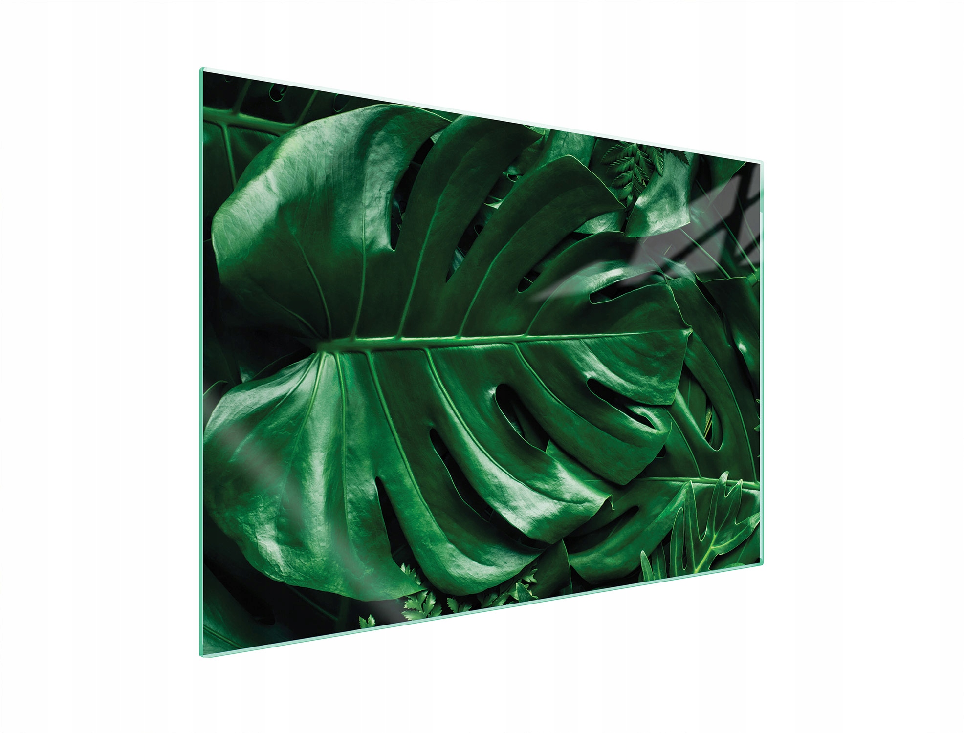 Skleněná Ochranná Deska Na Sporák 70x52 Monstera Tvrzené Sklo