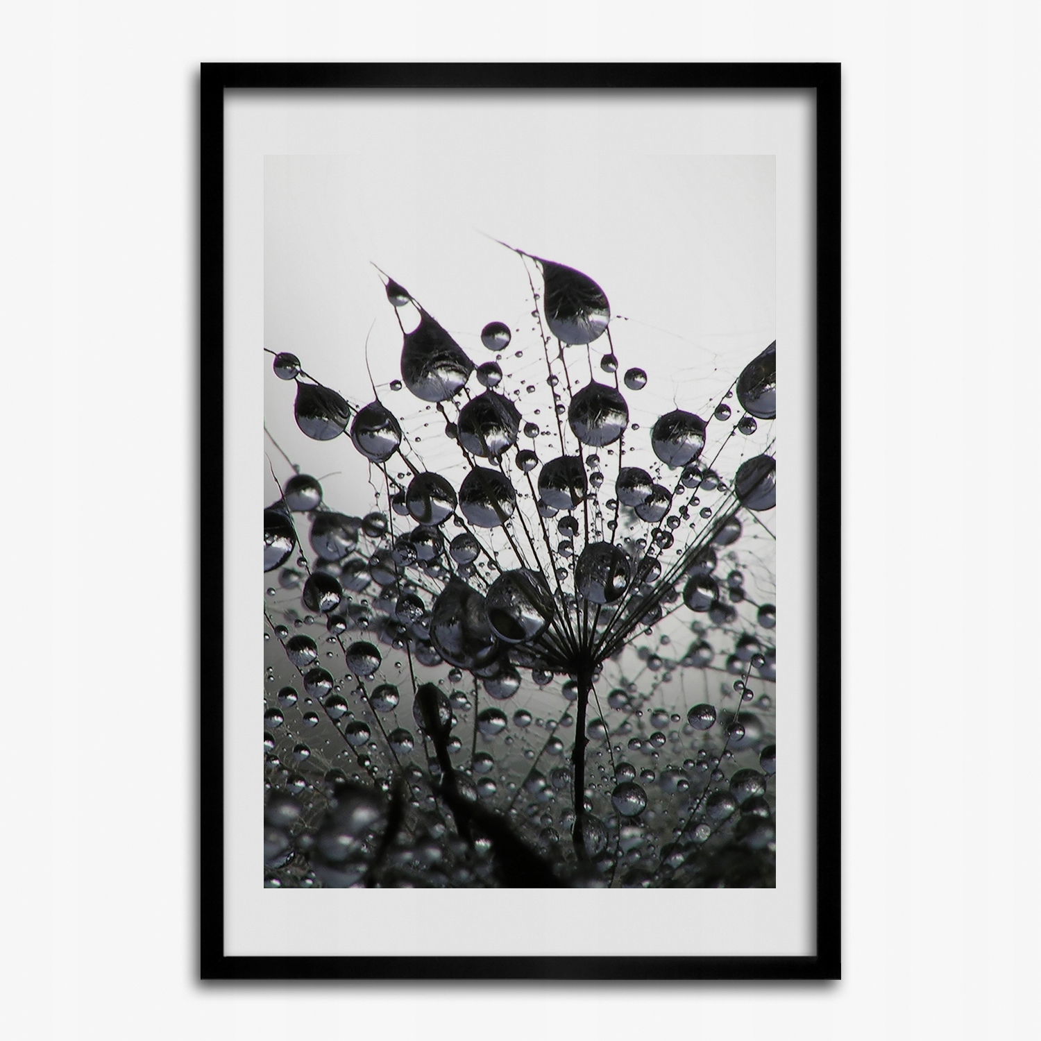 

Wiszący foto obraz ramka Nasiona dmuchawca 50x70