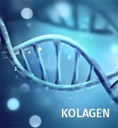 PROXIMUS Olejek modelujący do włosów OIL NON OIL 200 ml Stan opakowania oryginalne