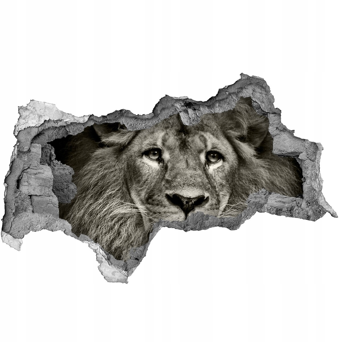 

Dziura 3d fototapeta Naklejka Lew ścienna 150x115