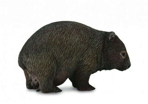 

Wombat M