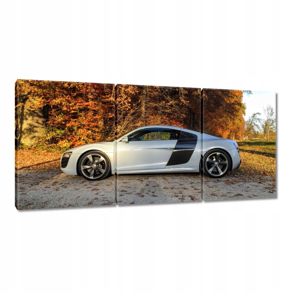 Obraz 150x70 Bílý Audi Tt
