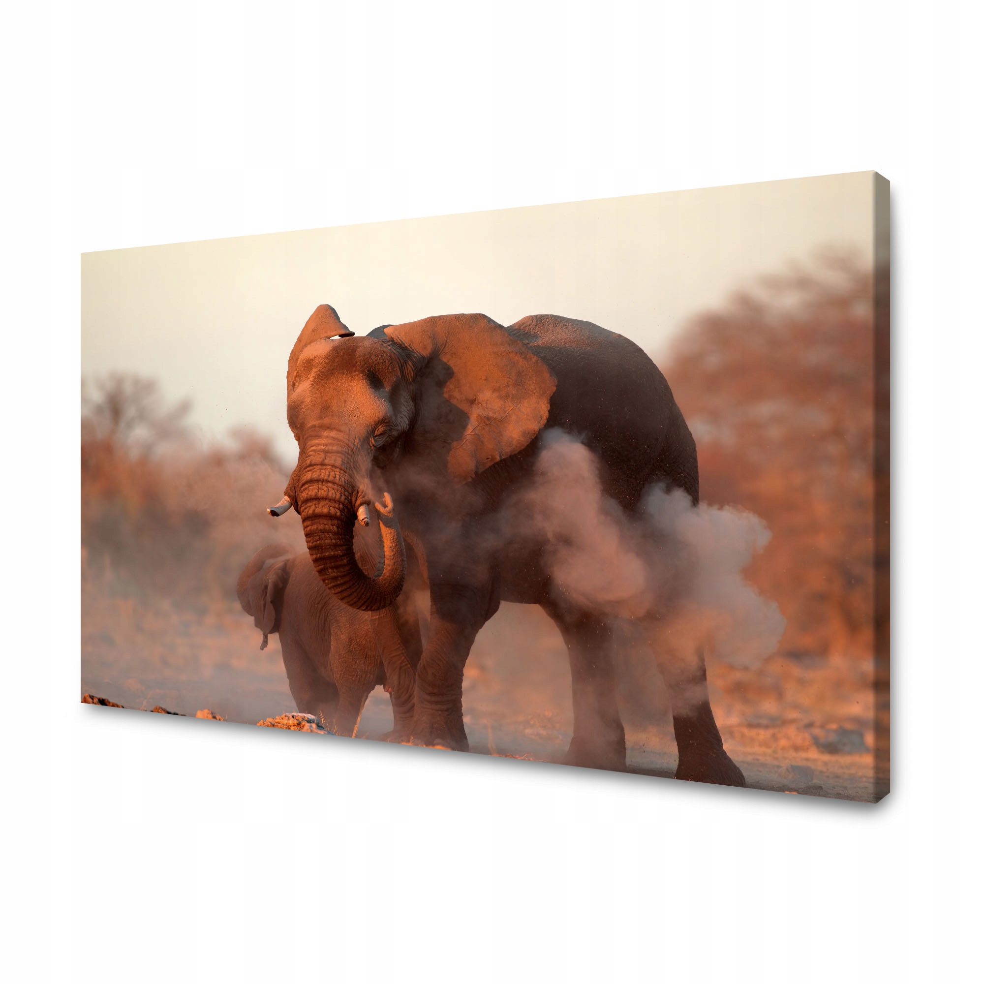 Obraz na plátně Sloni Oranžové Nebe Kouř Umění 120x70 cm