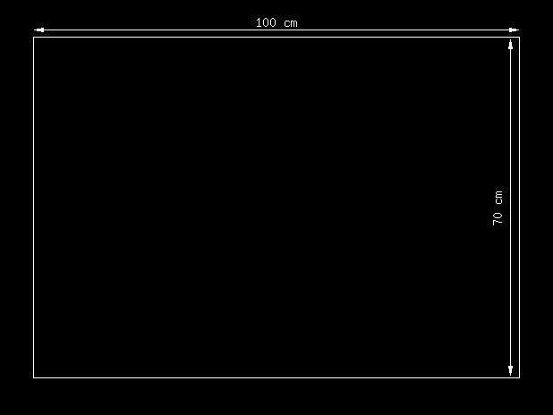 Obraz druk Kot psem Stan opakowania oryginalne