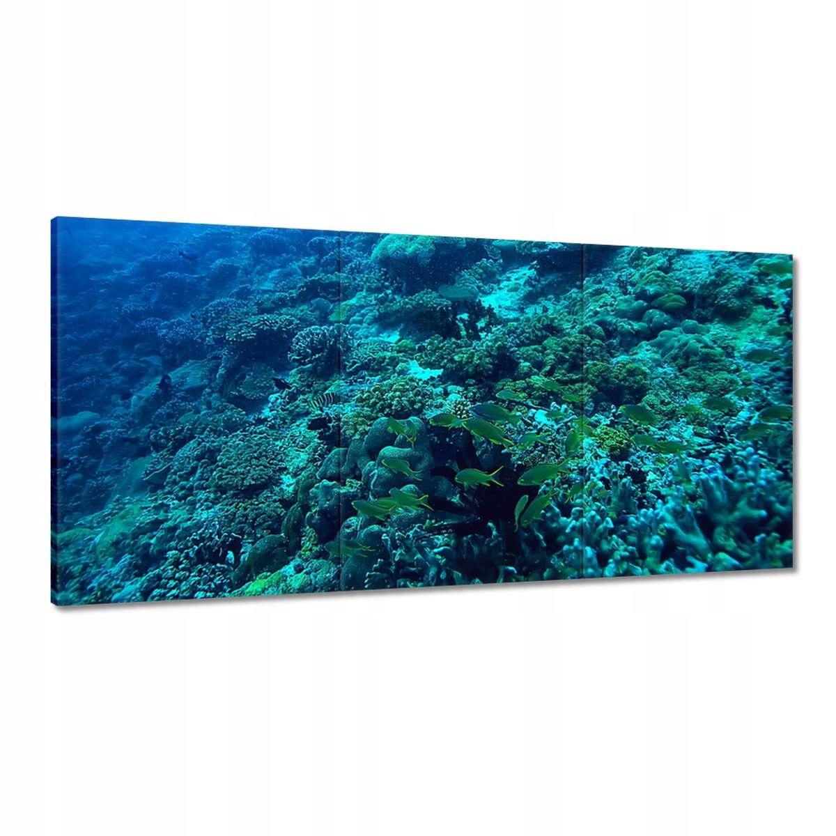 Obrazy 180x90 Podmorský výlet rýb