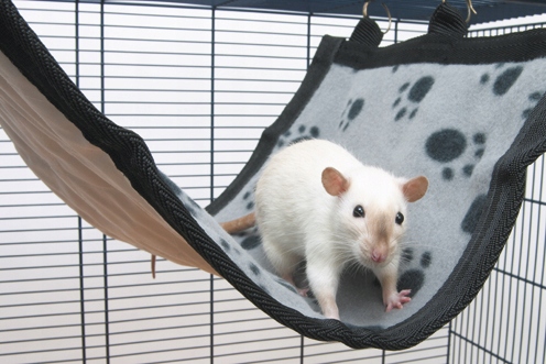 Levně Savic -hammk Relax De Luxe Large