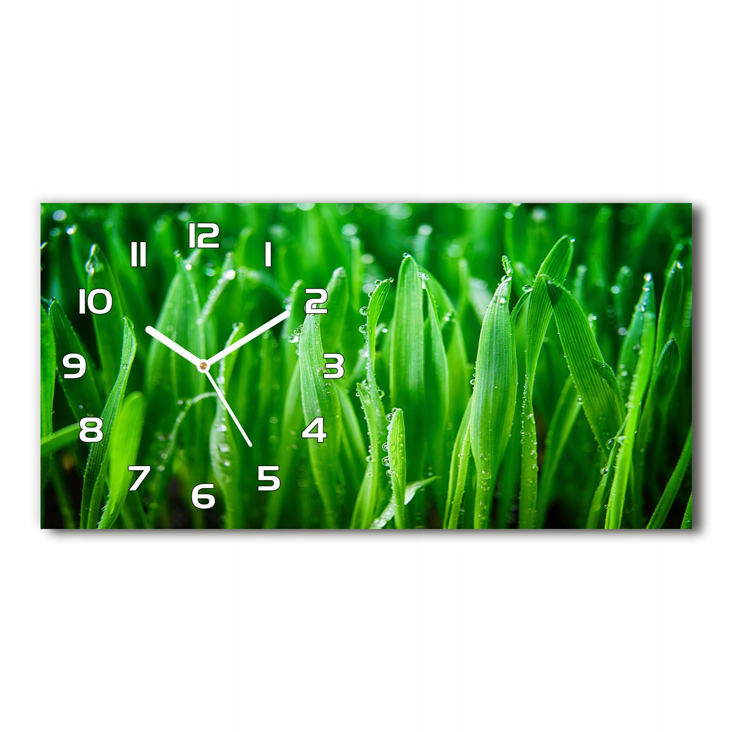 

Nowoczesny zegar ścienny, szklany Trawa 60x30 cm