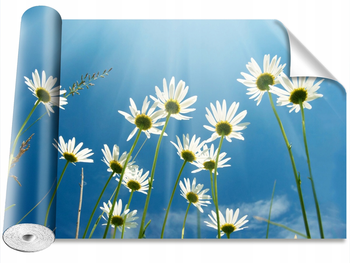 

Tapeta Samoprzylepna Stokrotki Niebieski 104x70