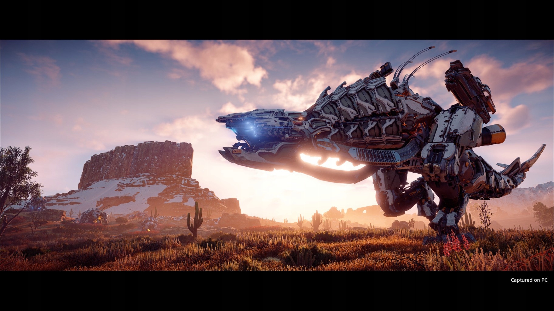 Horizon: Zero Dawn Complete Edition (PC Tytuł Horizon: Zero Dawn Complete Edition (PC) Klucz Steam