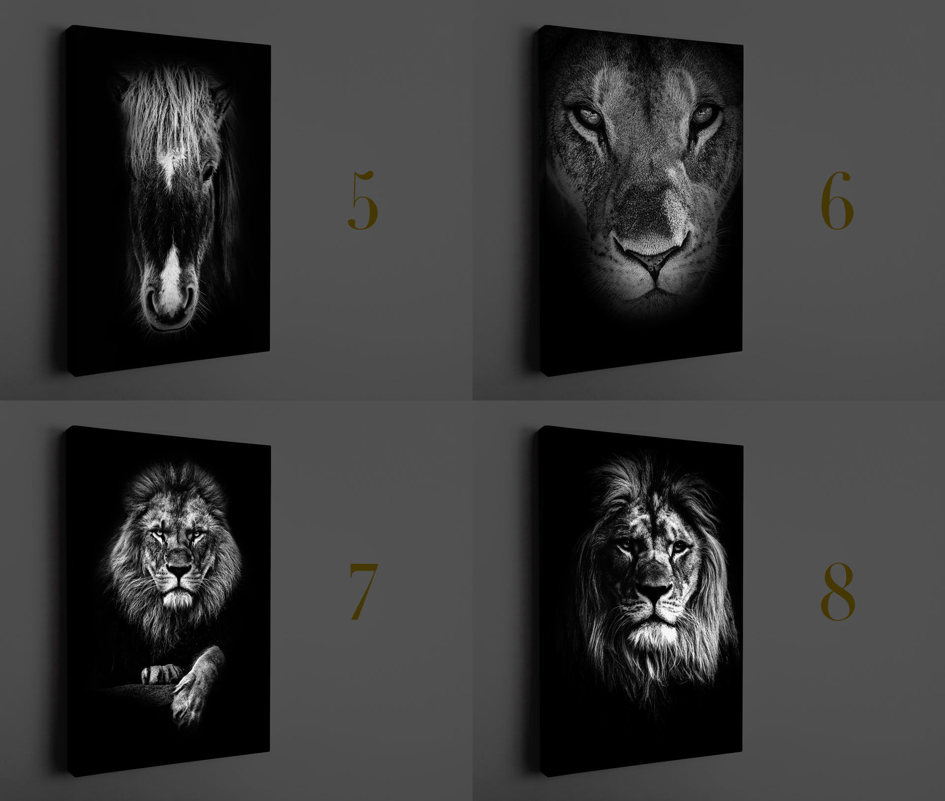 Obraz na płótnie Zwierzęta Portret Wybór 120x80cm Szerokość produktu 80 cm