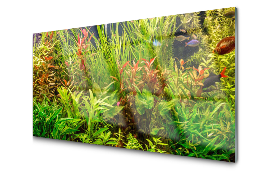 

Panel szklany Płytka Akwarium Rybki 140x70
