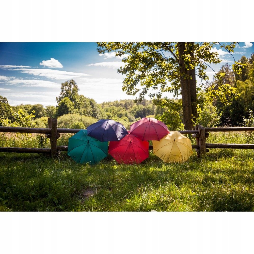 Parasol automatyczny, długi parasol | Hayden Marka inna