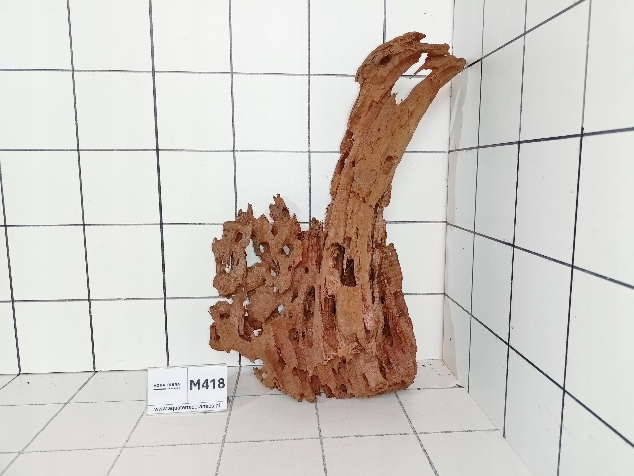 Korzeń Mangrowiec M418 (Kupujesz To Co Na Zdjęciu) Do Akwarium Terrarium