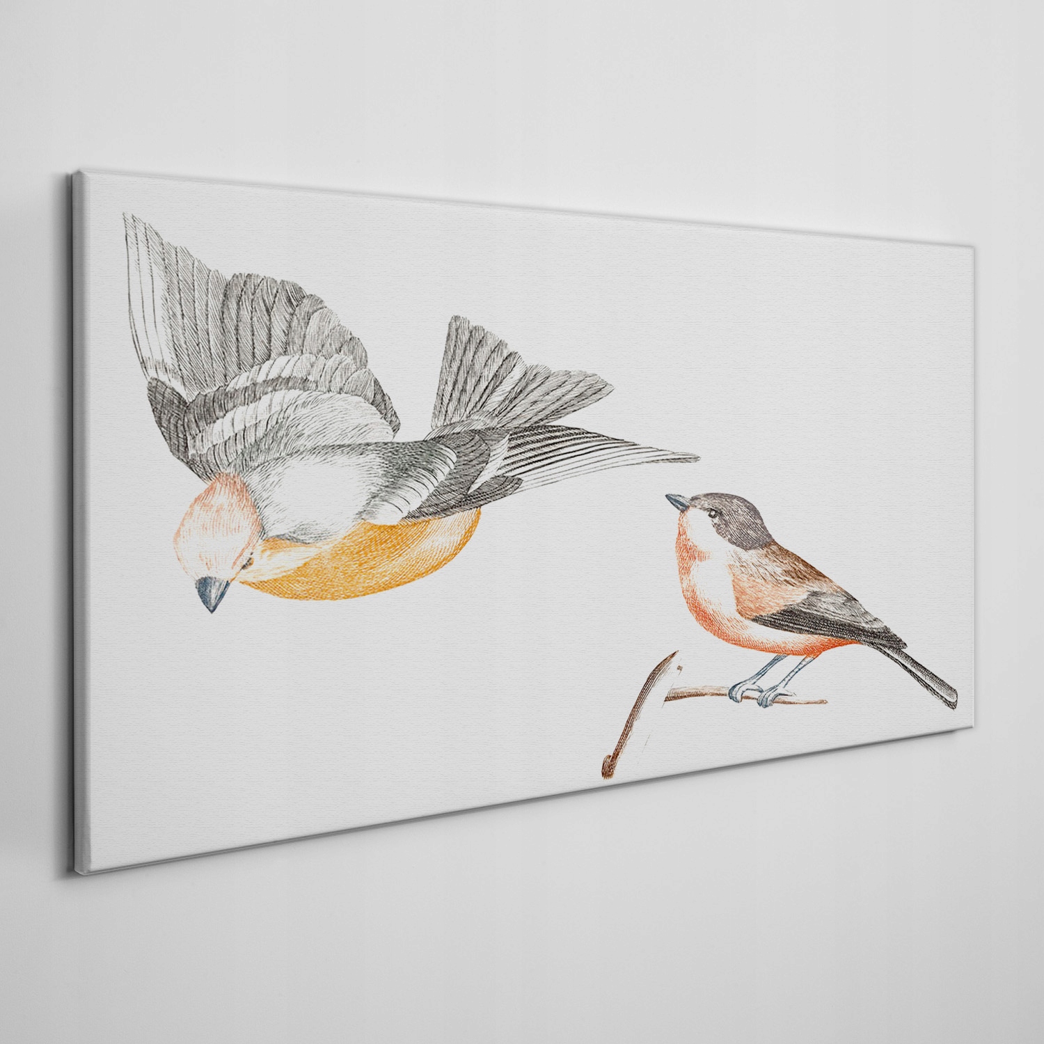 

Obraz na ramie płótno Zwierzę ptak gałąź 140x70 cm