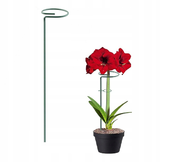 PODPORA PODPÓRKA DO ROŚLIN KWIATÓW TYCZKA 30CM