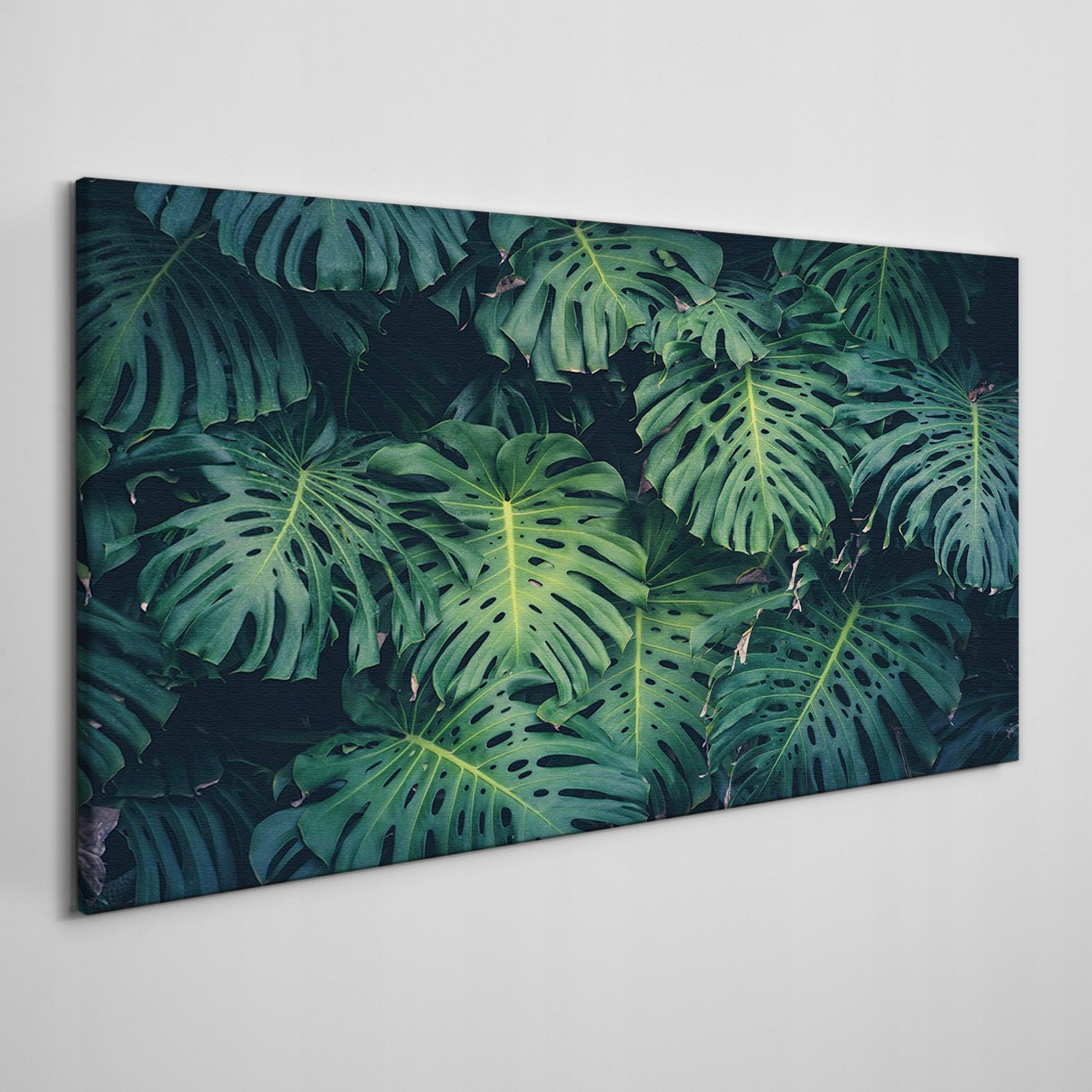 

Nowoczesny obraz na płótnie Kwiat liść 100x50 cm
