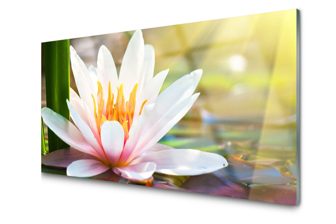 

Panel szklany dekoracyjny Kwiaty Roślina 100x50