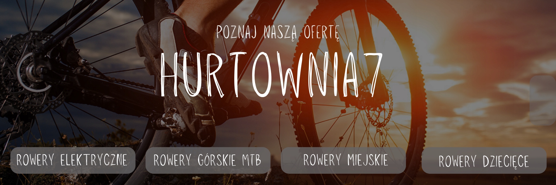 Rower górski męski 29 cali aluminiowy MTB SHIMANO hamulce tarczowe lekki Liczba biegów 21