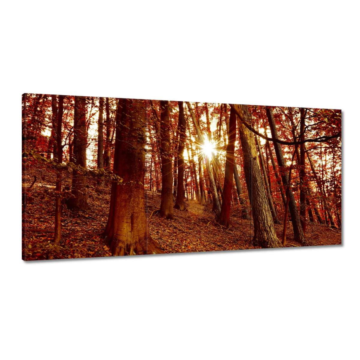 Obrazy 180x90 Krajina Vidlička