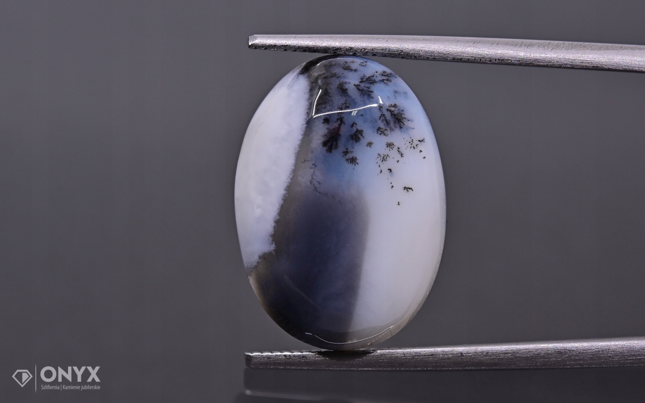 Dendritový achát z Turecka kabošon ovál 18x13 mm