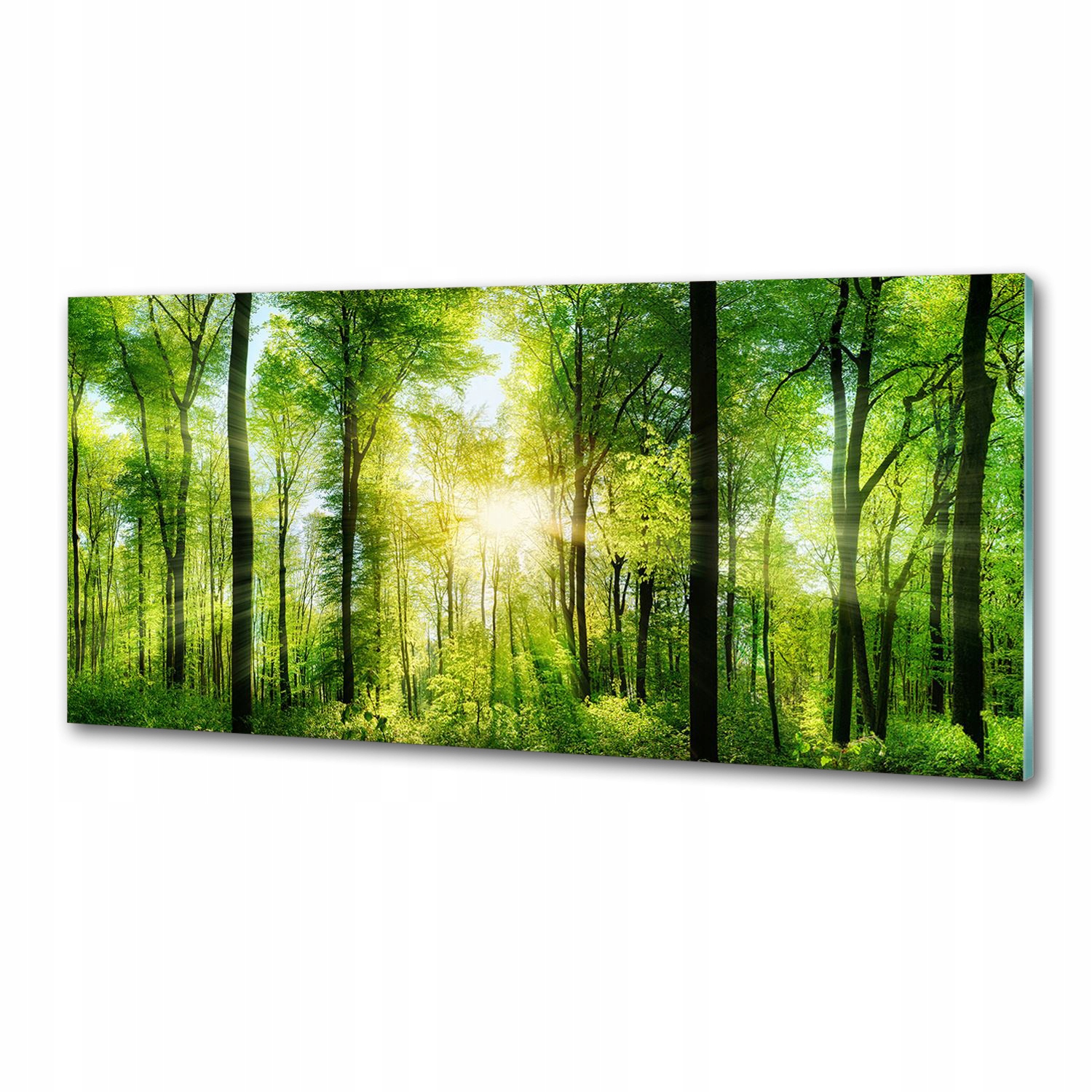 Panel dekor sklo Les na slnku 125x50 cm Lepidlo