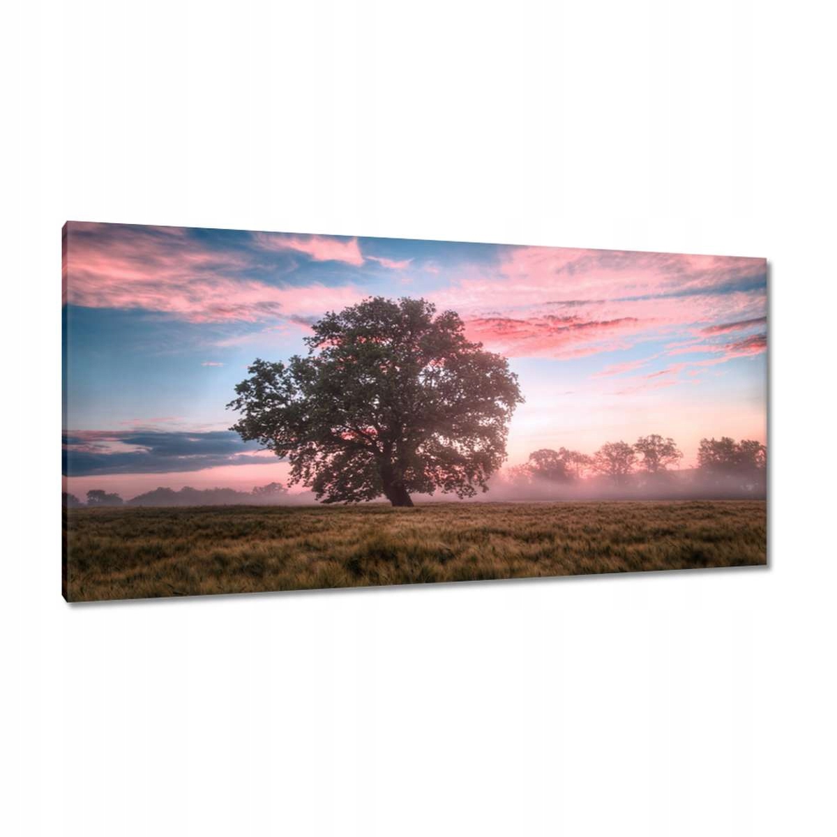 Obrazy 115x55 Cukrová krajina Mlha