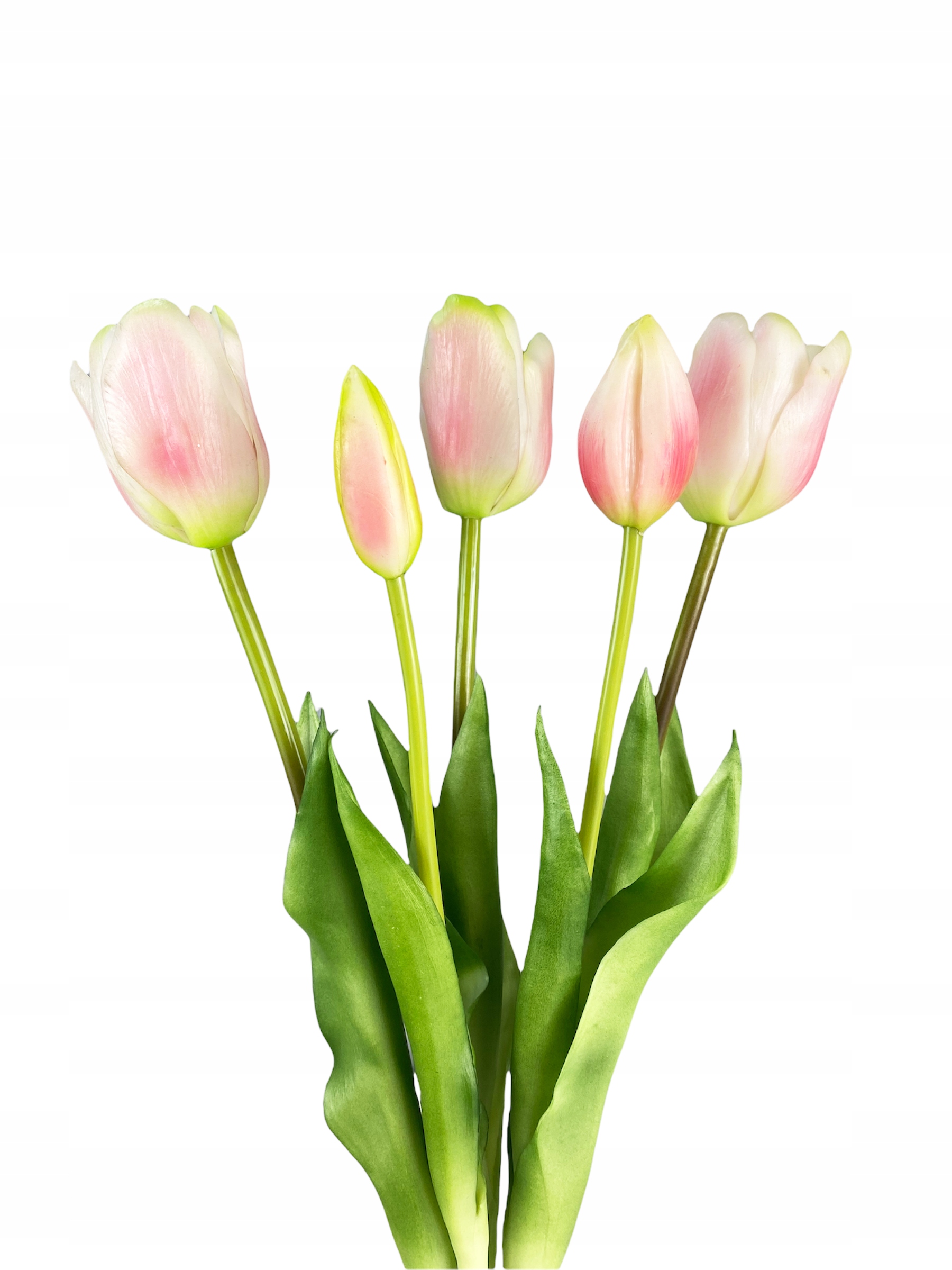 

Tulipan Tulipany Gumowane Kwiaty Jak Żywe różowe 5
