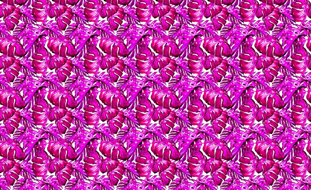 

Fototapeta Flizelinowa Tropikalne liście 416x254