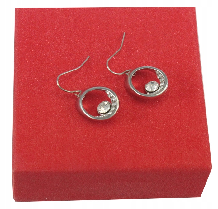 

Kolczyki Srebrne Kółka Z Cyrkonią Stal Nierdzewna