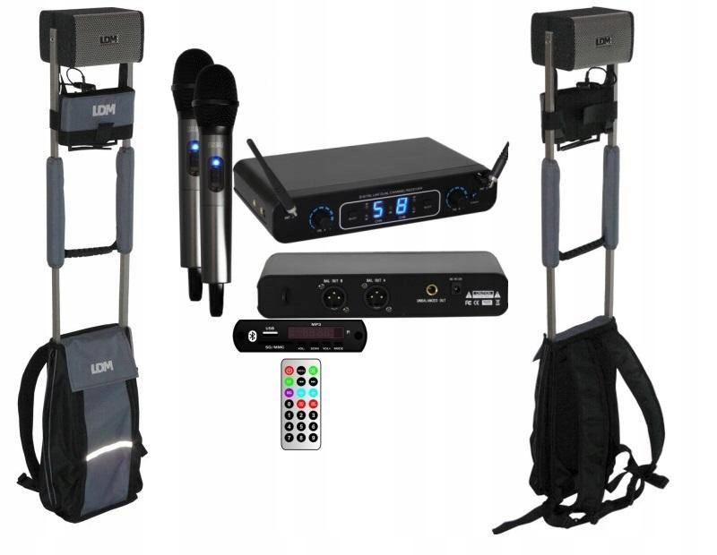 LDM Mobile Voice D216 Zestaw Pielgrzymkowy +2 mikrofony