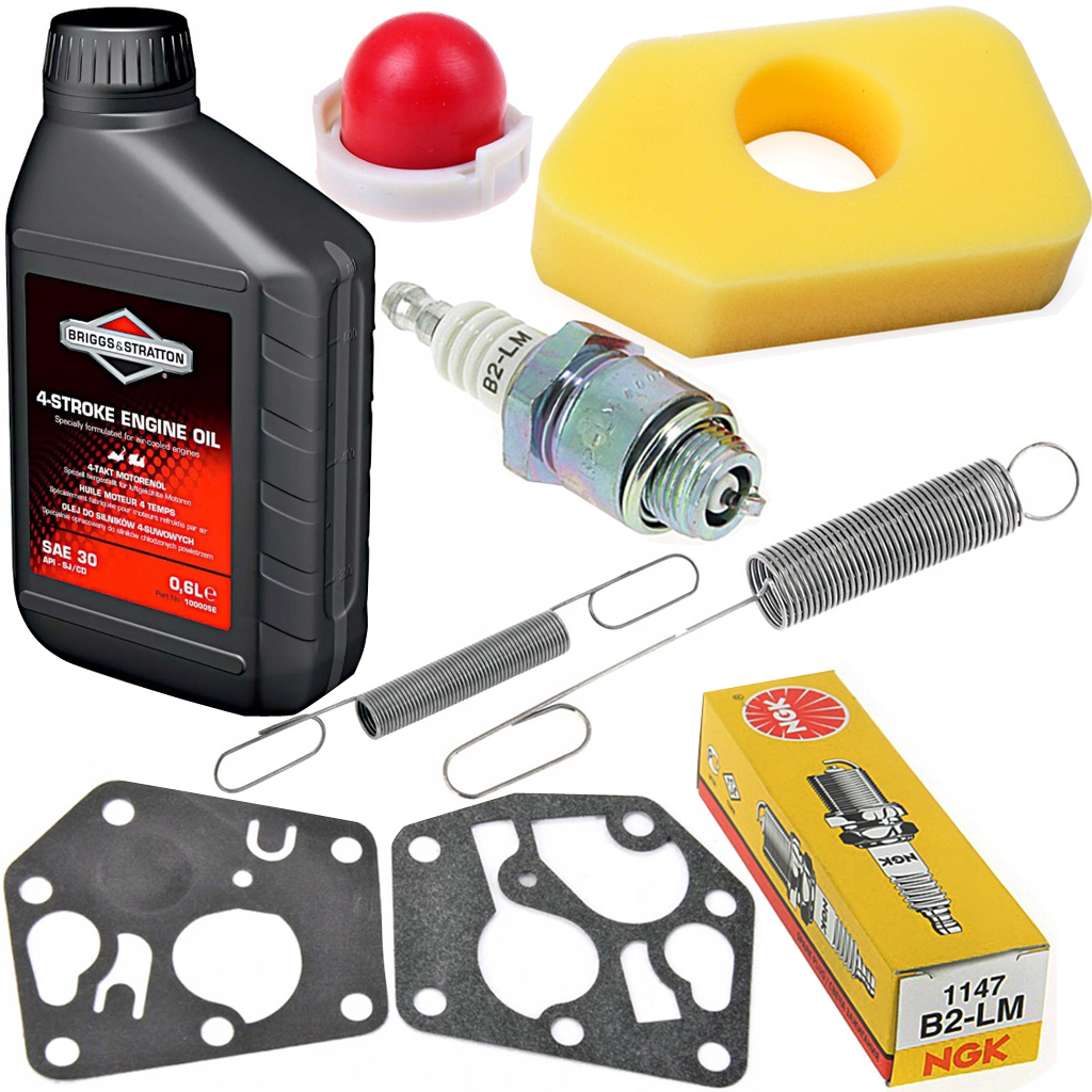 

Briggs Stratton Filtr Membrany Sprężynki Olej