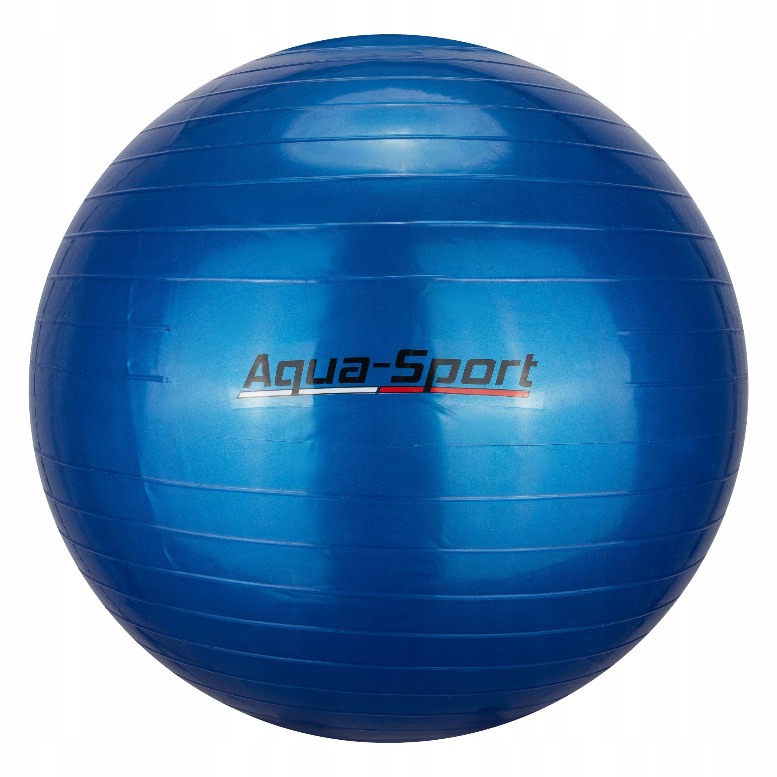 Piłka Gimnastyczna Fitness Rehabilitacyjna 65cm