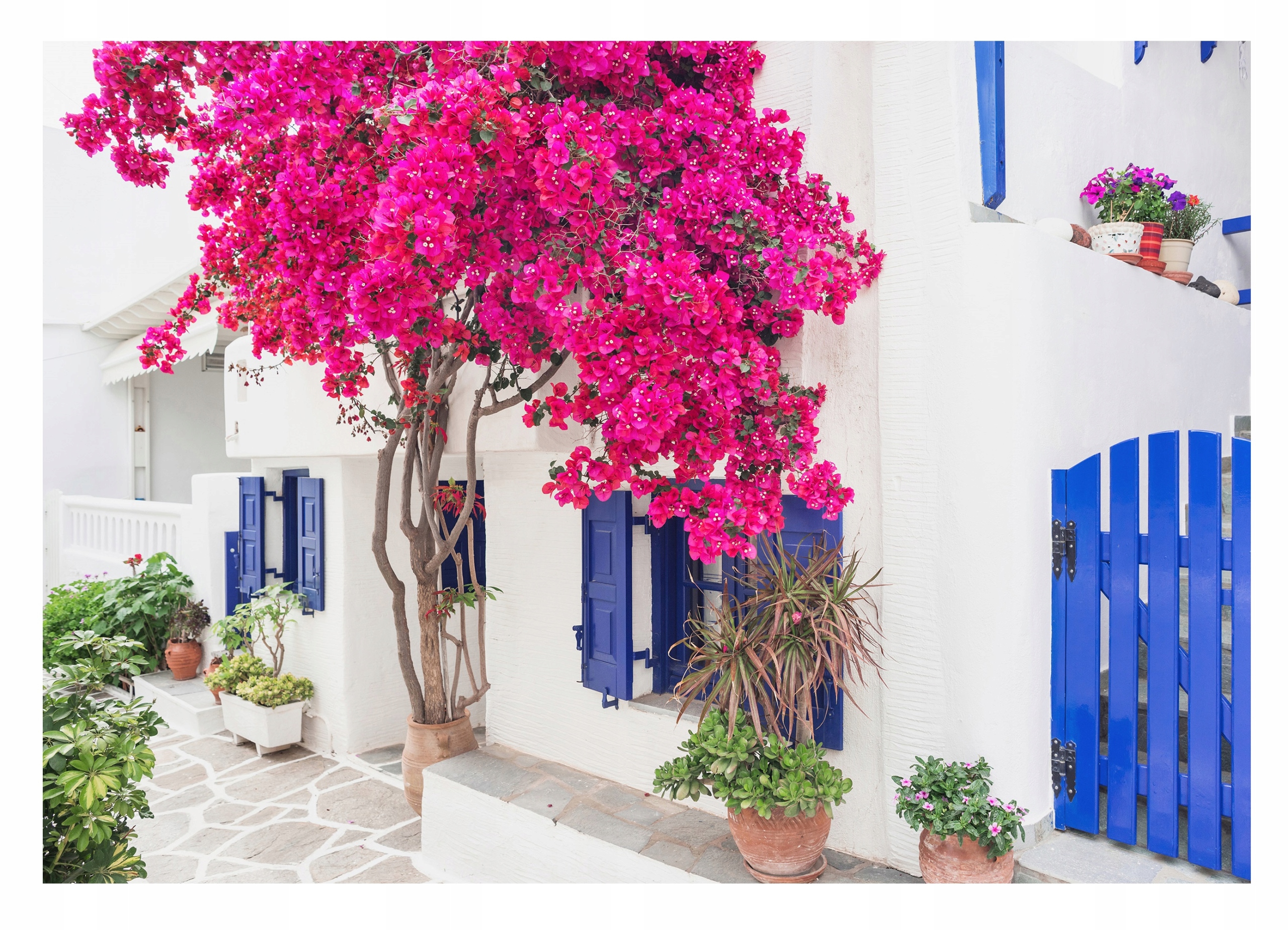 Fototapeta Řecká Ulička s květinami bílá 254x184