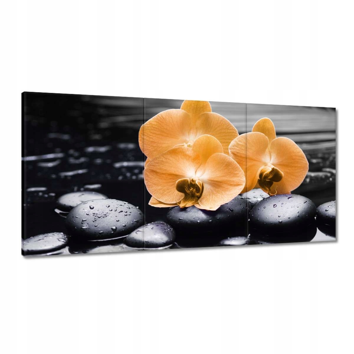 Obrazy 180x90 Oranžové orchidey