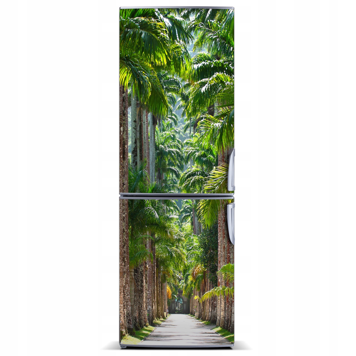 

Magnes Tapeta na lodówkę Krajobrazy Palmy 60x180