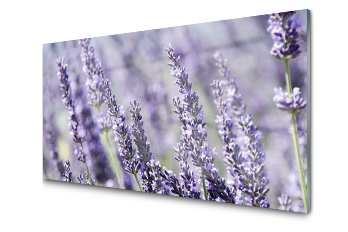 Obraz na skle Květiny Rostlina Příroda 120x60