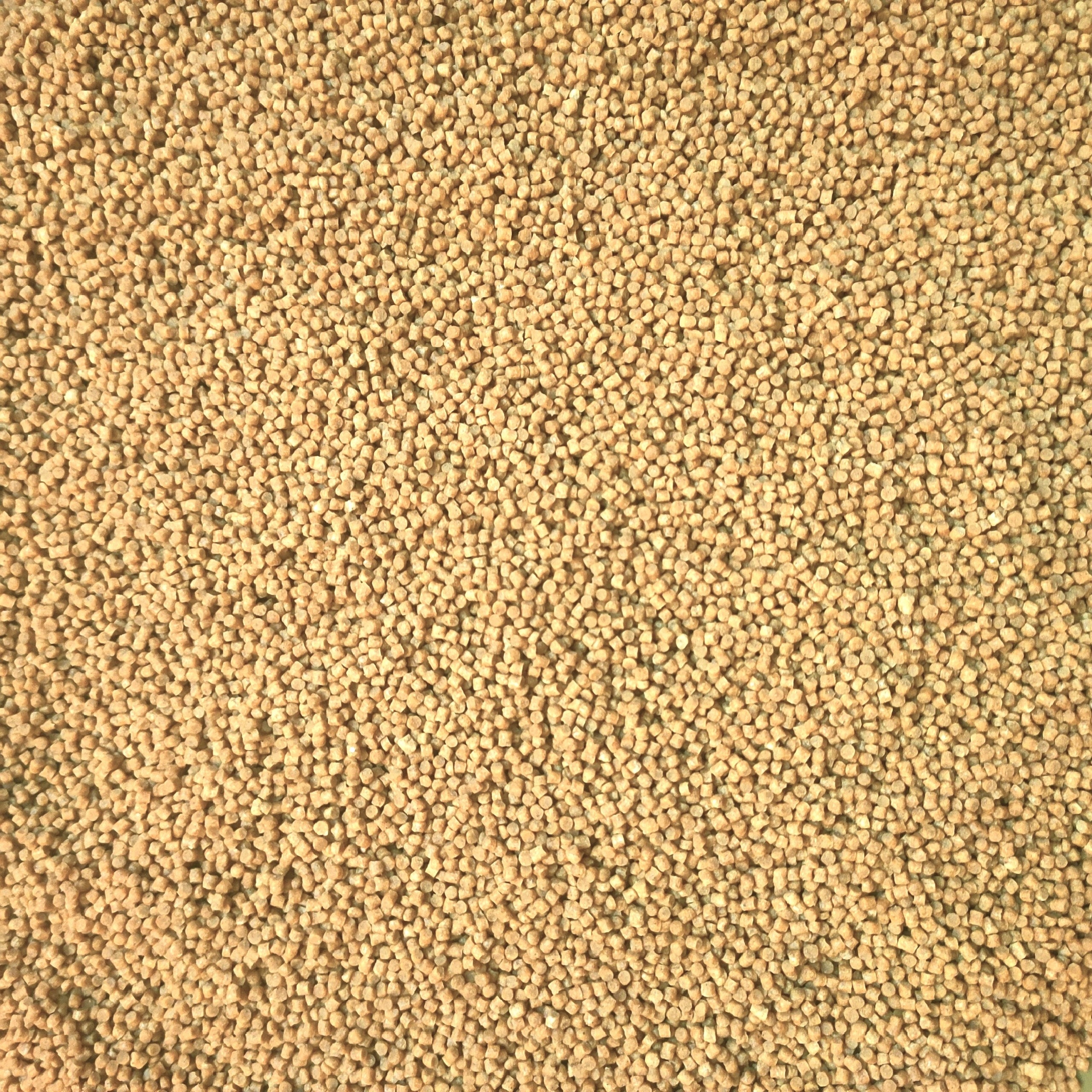 Pellet Zanętowy Coppens Premium Carp 3mm 1kg