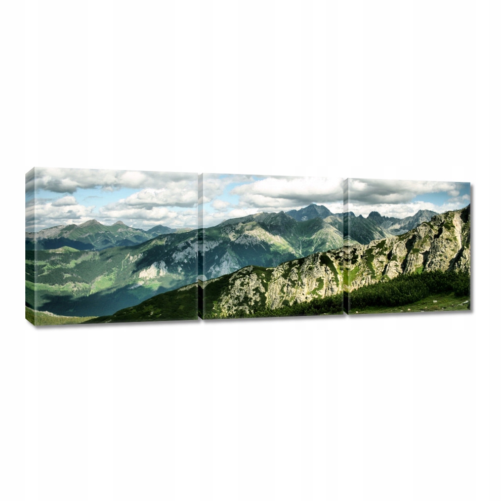 

Obrazy 60x20 Widok z Tatr