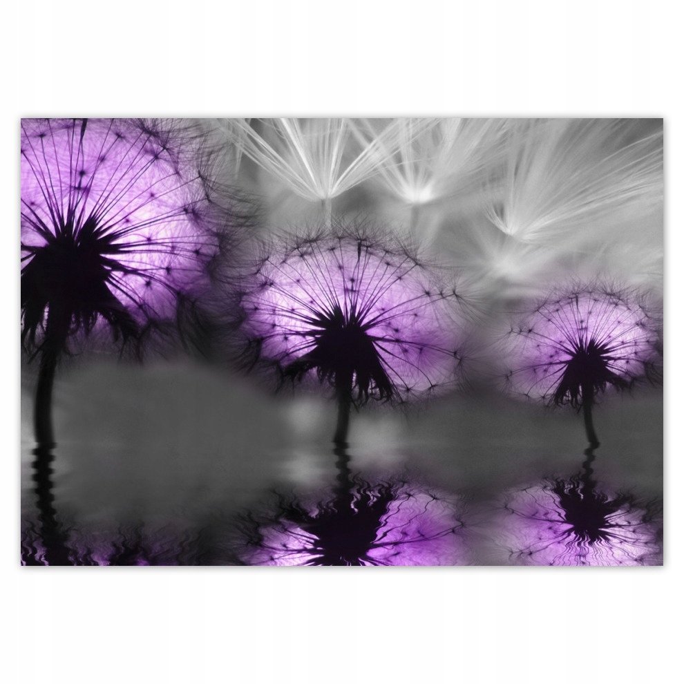 

Fototapety flizelina 416x290 Odbicie w wodzie
