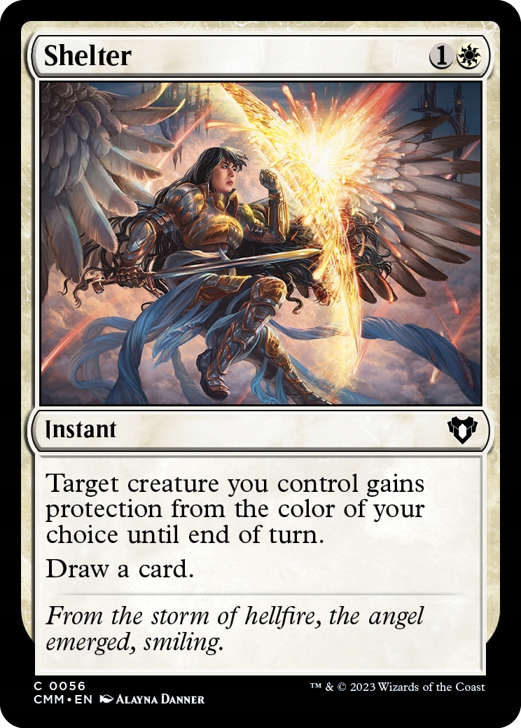 Mtg 2x Shelter